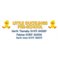 Little Ducklings Pre-School North Thoresby