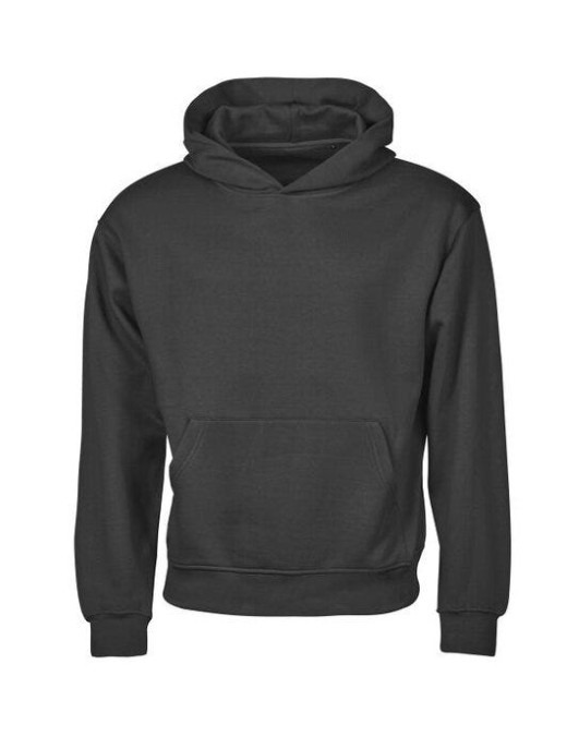 Unlabeled Heavy Loose Fit Hood
