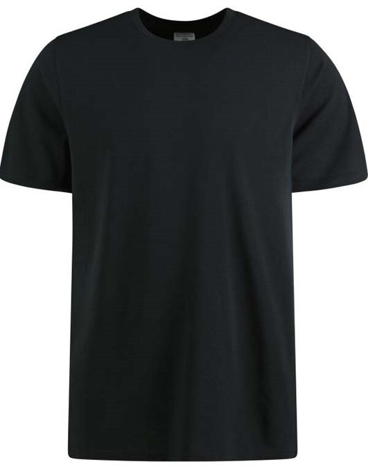 Regular Fit Superwash 60 Pique Tee