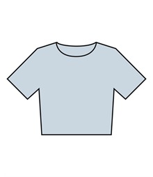 Women?s heavyweight washed cropped tee