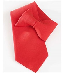 Clip-On Tie
