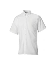 Dickies Oxford Weave S/Sleeve Shirt White