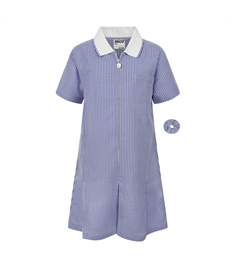 Donington on Bain Primary Zeco Gingham Dress