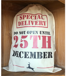 Special Delivery Santa Sack