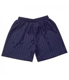 Trutex Navy Shadow Stripe Shorts