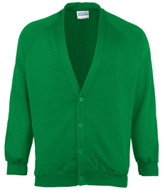 East Wold C of E Primary School Cardigan