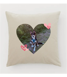 Personalised Printed Cushion with photo of choice